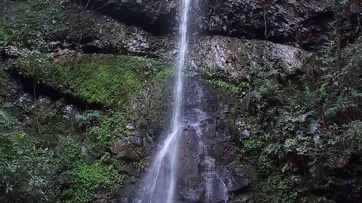 Cachoeira São Carlos